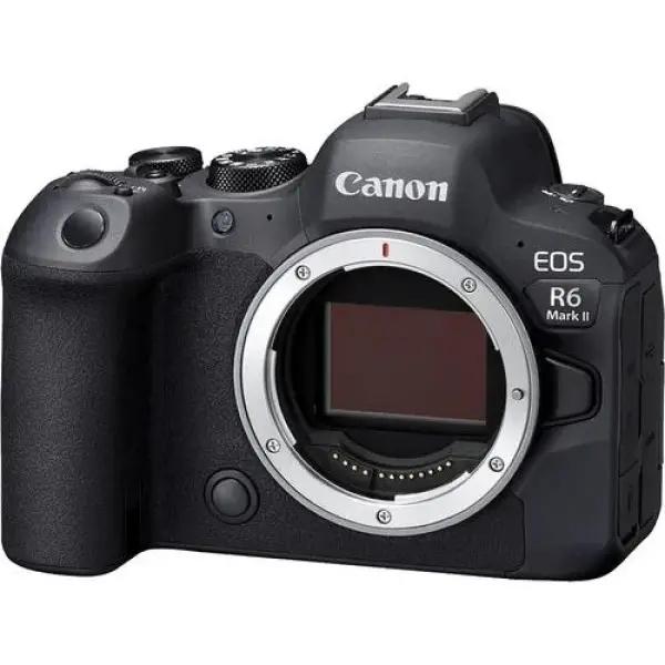 Canon EOS R6 Digital Mirrorless Camera (Body Only)
